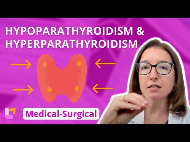 Hypoparathyroidism and Hyperparathryoidism: Medical-Surgical (Endocrine) | @LevelUpRN