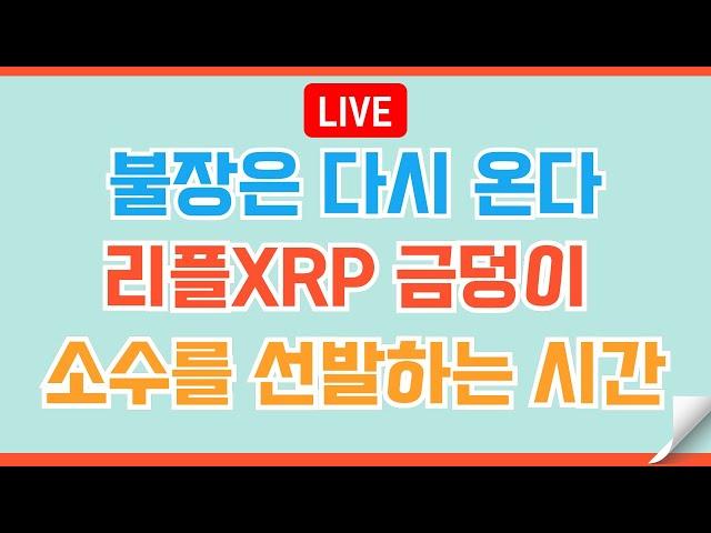 [#153]  리플XRP 보물을 원하는 자~! 리또속을 견뎌내라  #비트코인 #리플 #코인 #xrp #도지코인 #이더리움 #헤데라