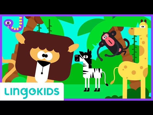 Wild Animals Song  Safari Chants for Preschoolers | Lingokids Music