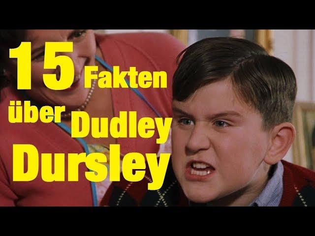 15 FAKTEN über Dudley DURSLEY