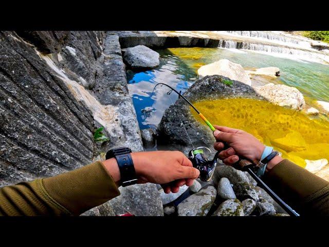 La Tana della Fario d'oro! - Pesca alla Trota a Spinning in Valtellina