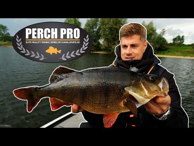 Pre Fishing Perch Pro mit Dustin Schöne und Tobias Ekvall!!!