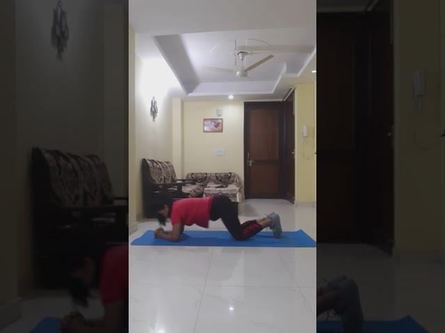 Plank Press Back | Plank Reduce Belly Fat | Neeta Kumar