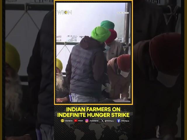 Farmers Protest: Protesting Indian Farmers Vow To Stay On Indefinite Hunger Strike | WION Shorts