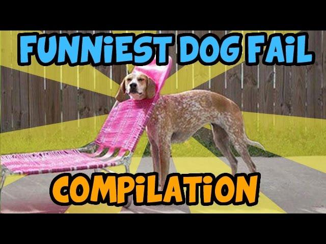 BEST DOG FAIL COMPILATION