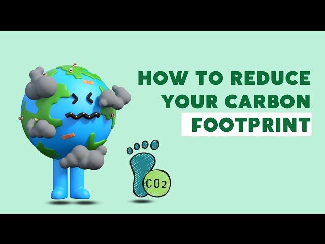 How to Reduce Your Carbon Footprint