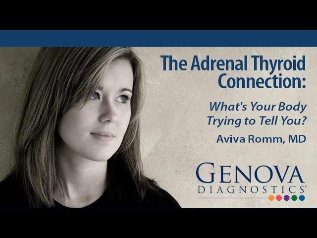 The Adrenal Thyroid Connection   What's Your Body Trying to Tell You?