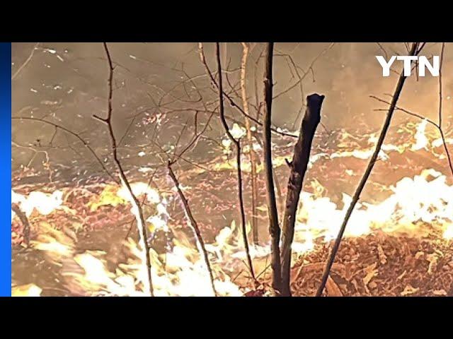 대구 앞산 화재...전국 곳곳 산불 "쓰레기 태우려다" / YTN