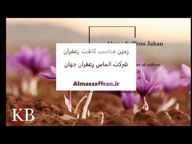 زمین مناسب برای کاشت زعفران - شرکت الماس زعفران جهان