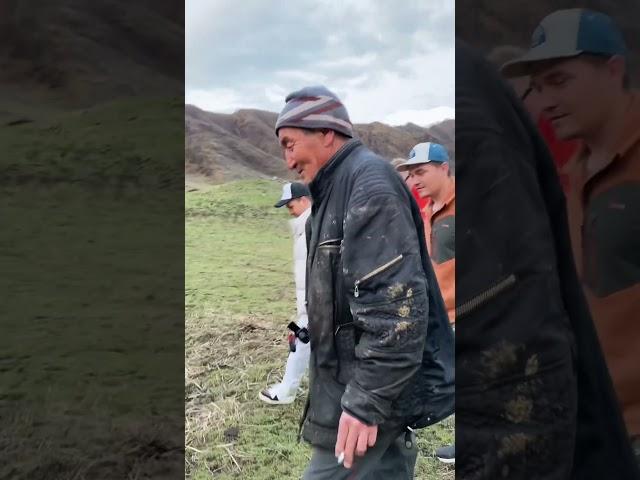 Как живут люди на Алтае? #путешествия #travel #алтай