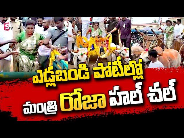 Minister Roja Rides and Drives Bullock Cart in Tanuku | Minister Roja | SumanTV