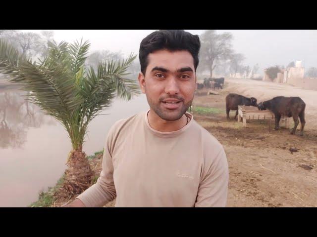 Happy Joint Family mari Ayadat Ko Aaye | Village life | Shoaib Maharzada