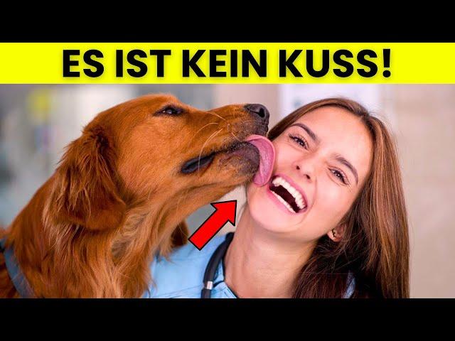 Der WAHRE Grund, warum Hunde dein Gesicht lecken (und es ist NICHT süß!)