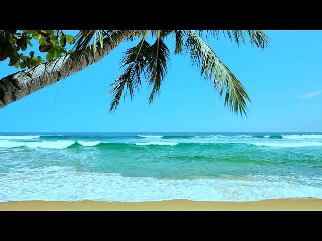 Tropical Beach Ambience | White Noise for Stress Relief, Meditation & Sleep | 10 Hours