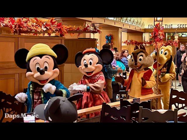 Mickey's Autumn Adventures Brunch Buffet | Storytellers Cafe | Disneyland Resort 2024 4K