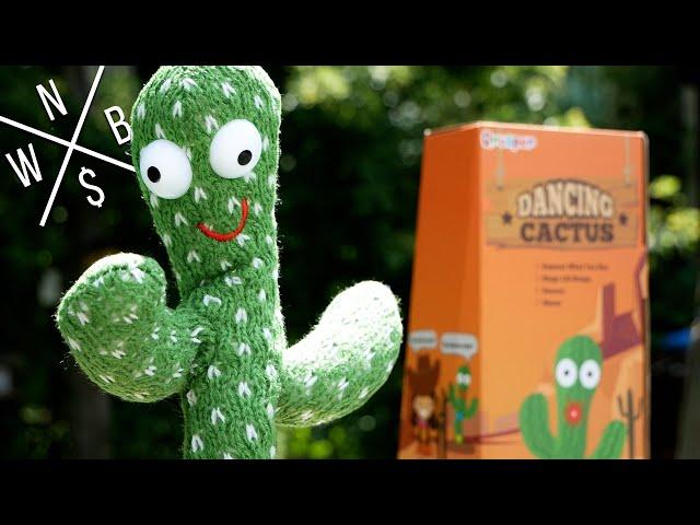 QROOPER Dancing Talking Cactus Toy - Unboxing & Review