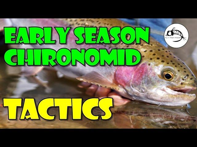 Early Season Chironomid Tactics by Fly Fish Food