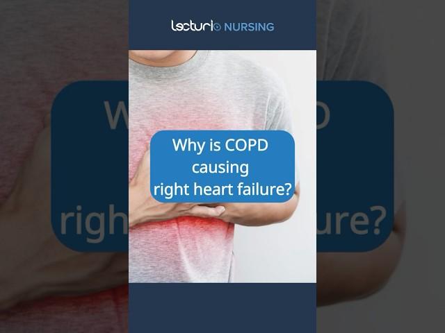 COPD and Heart Failure: What's the Connection? ️🫁 #COPD #HeartHealth #nclexrn