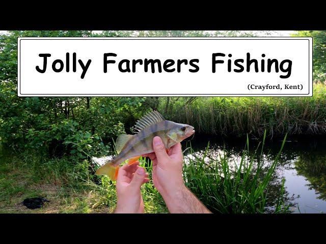 Jolly Farmers Fishing at Crayford Kent | Perch