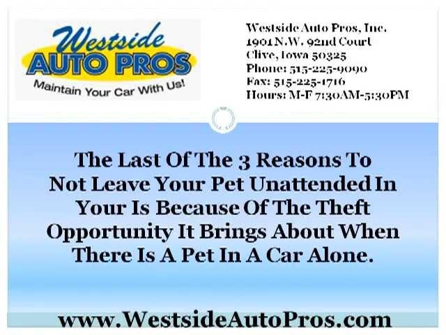 Ford Repair West Des Moines | 3 Reasons To Not Leave Your Pet Unattended In Your Car