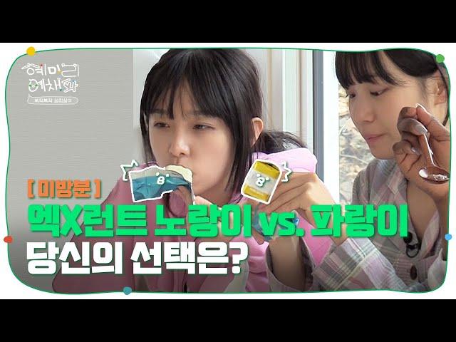 [SUB/미방분] 아침에 아이스크림 먹다가 불붙은 맛 논쟁 | 혜미리예채파 | TEO