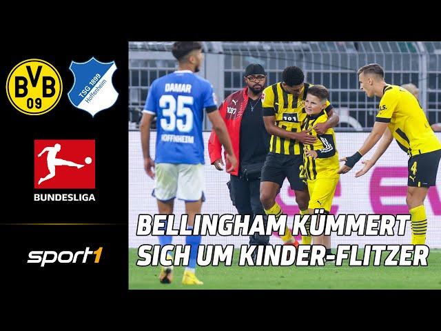 Borussia Dortmund - 1899 Hoffenheim | Bundesliga Tore und Highlights 5. Spieltag | SPORT1