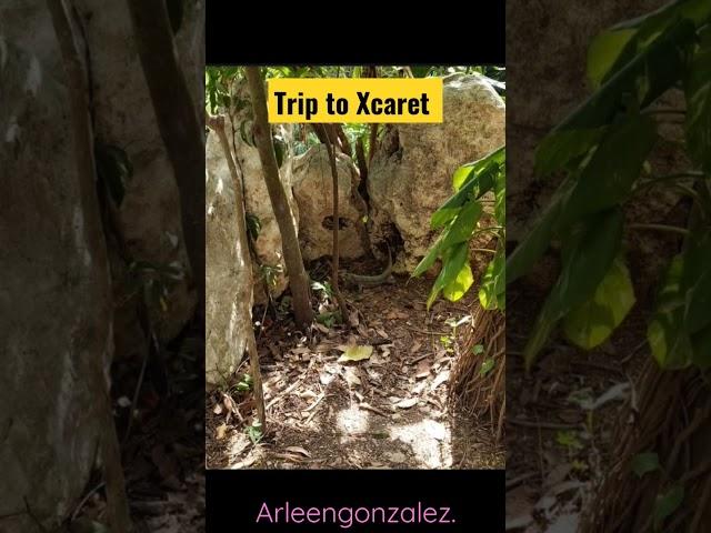 Our trip to Xcaret #travel #vacation #familytime #cancun #Xcaret #mexico #vacaciones