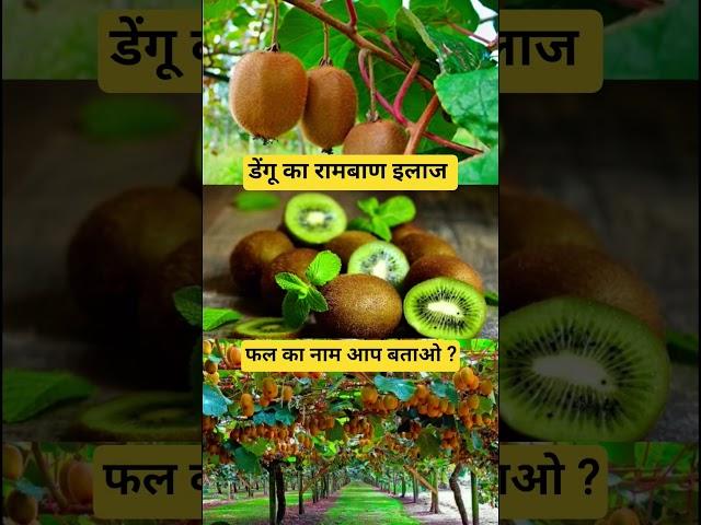 What is time the name of fruit? #fruit #gardening #garden #farming #agriculture #kheti #technology