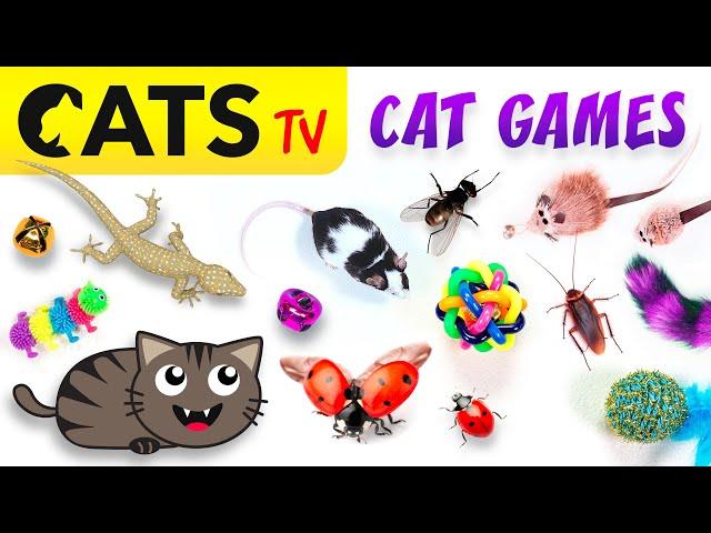 CAT GAMES  50 in 1 Ultimate CATS TV Compilation 🪰 4K 60 FPS [8 HOURS]