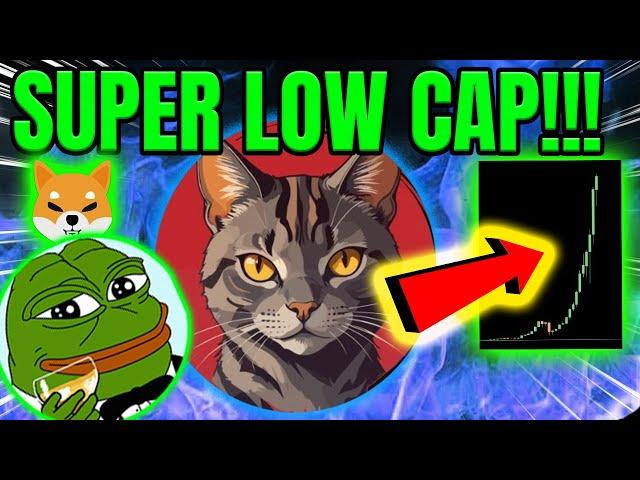 THIS LOW CAP MEME COIN JUST LAUNCHED  BIG POTENTIAL ?!  NEW LOW CAP MEME TOKEN !