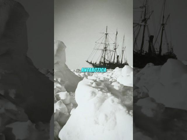 ️ Did Ancient Civilizations Map Antarctica? ️ #joerogan