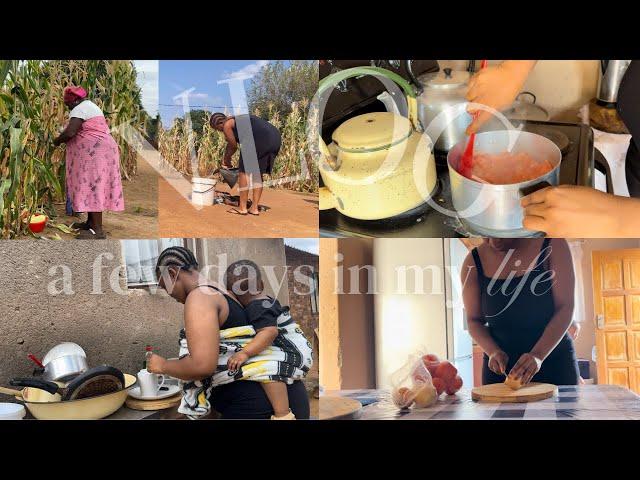 MAKOTI VLOG - Let’s go to the village | In-laws | South African YouTuber