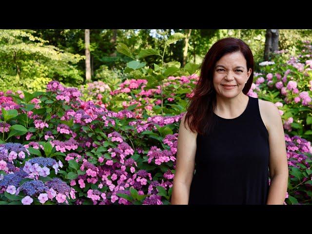 Summer Garden Tour of Spring Meadow | Proven Winners Shrubs | Gardening with Creekside