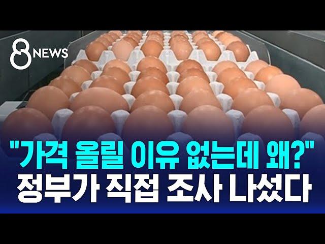 "달걀 가격 올릴 이유 없는데 왜?" 정부가 직접 조사 나섰다 / SBS 8뉴스