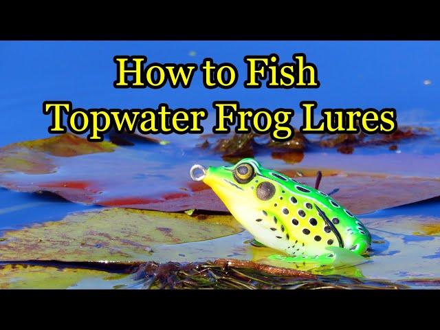 Basics of Frog Fishing and How to Fish Hollow-body Frog Lures