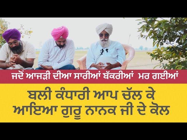 ਜਦੋਂ ਆਜੜੀ ਦੀਆਂ ਸਾਰੀਆਂ ਬੱਕਰੀਆਂ ਮਰ ਗਈਆਂ | ਸਾਖੀ ਗੁਰੂ ਨਾਨਕ ਦੇਵ ਜੀ | Bapu Maghar Singh ji New Video