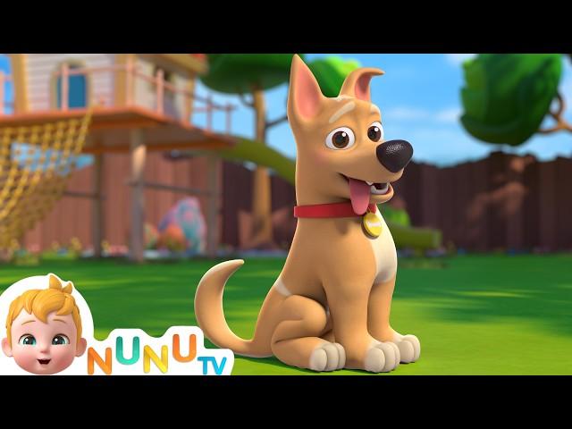 My Dog Song | Bingo | Toddler Songs & Nursery Rhymes | NuNu Tv Kids Songs