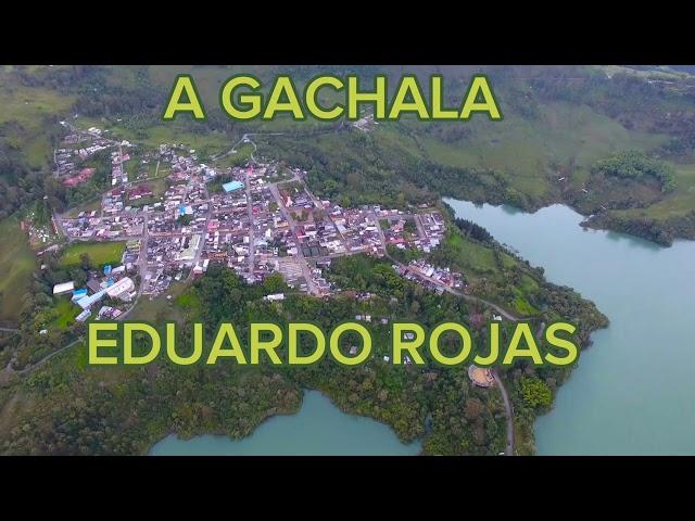 A GACHALA EDUARDO ROJAS #viral #musica #musicacampesina #guavio #gachala