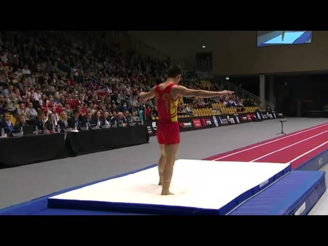 2015 Tumbling World Championships (Male)