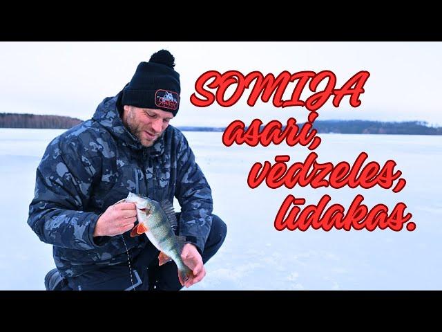 SOMIJA asari, vēdzeles, līdakas.