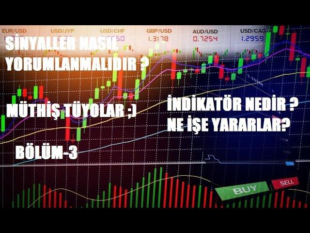 İNDİKATÖRLER NE İŞE YARAR ? NASIL YORUMLANMALARI GEREKİR ?