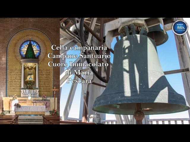 Cella campanaria Campane Santuario Cuore Immacolato di Maria - Pescara (Video 1) ABRUZZO