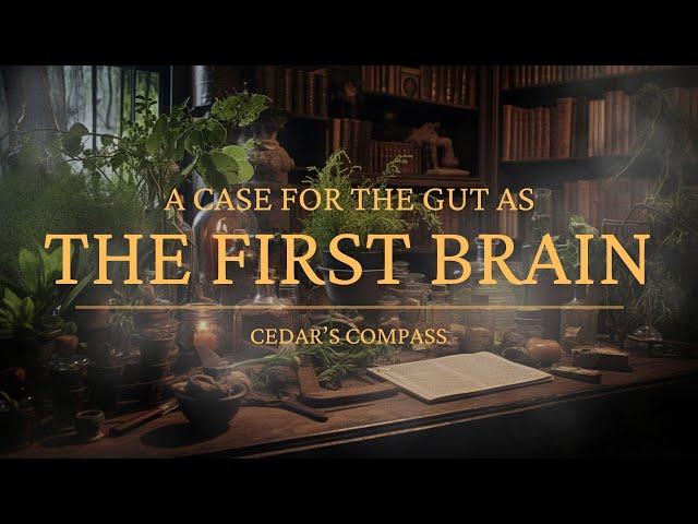 A Case for the Gut as the First Brain | Cedar's Compass