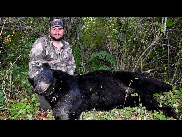 Epic Wisconsin Black Bear Hunt & Adventure - September 2022