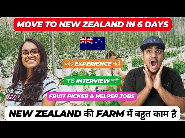  New Zealand FREE Visa In 6 Days | Fruit Picker & Helper Jobs | New Zealand Work Permit 2024 