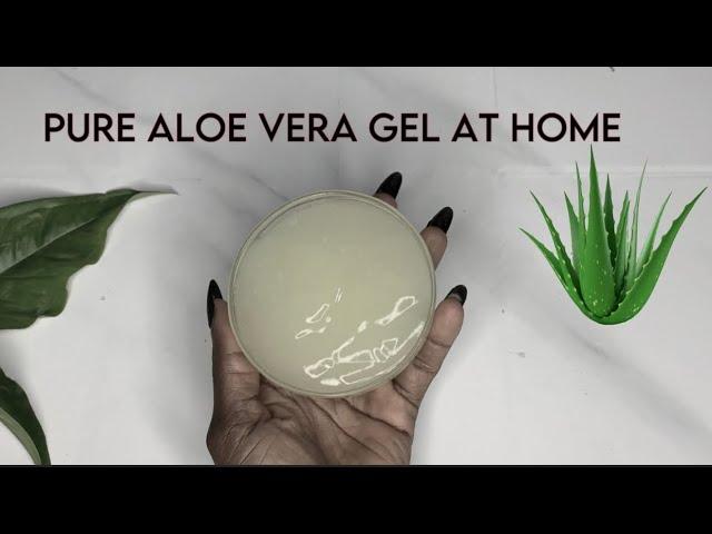 How to make pure organic aloe vera gel at home and make last for months #aloevera #diy #aloeveragel