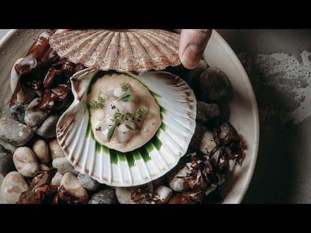 Why Shellfish is the Most Superior Protein on Earth