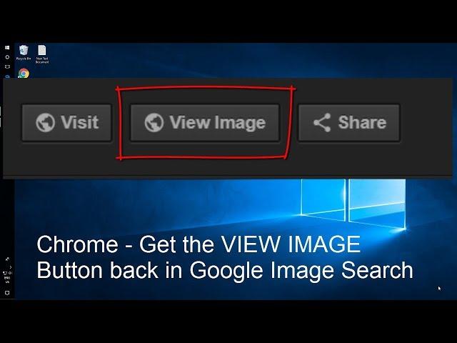 Get View Image Button Back in Google Image Search - Chrome