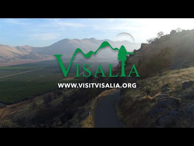 VISIT VISALIA 2018