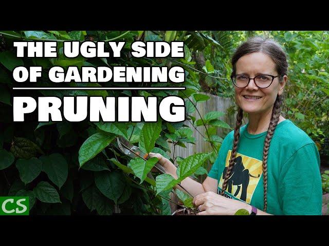 Ugly Side of Gardening- Pruning- part 2